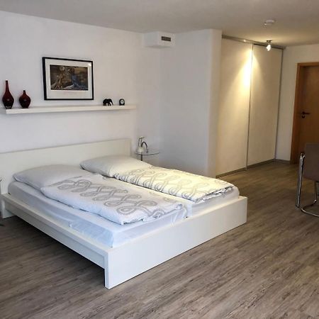 Ferienwohnung Riesterer Freiburg Bagian luar foto